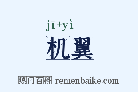 机翼是什么意思的图片